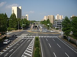 学園中央通り（吾妻一・二丁目）