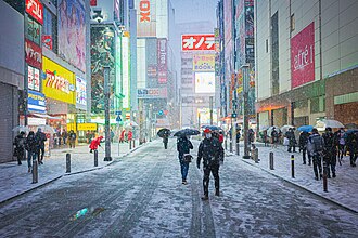 令和4年豪雪の記録と気象学的特徴