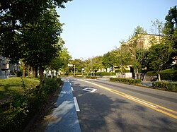 並木四丁目の様子