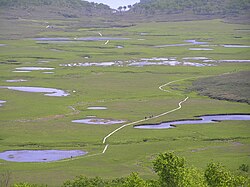 湿原の生態系と地理的特徴に関する解説