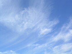 巻雲と飛行機