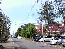 松代 (つくば市)