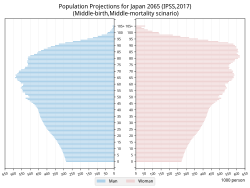 2065年の人口ピラミッド予測
