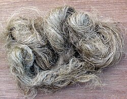 日本における麻繊維の歴史と文化