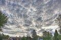 ほぼ全天が雲に覆われた状態