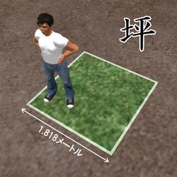 坪(日本の伝統的な面積単位の歴史と法規制)