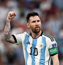 プロサッカー選手の現状、キャリア、および健康影響に関する百科事典記事