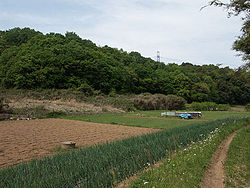 日本における里山の歴史、生態と社会的変遷