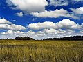 雲底の揃った積雲