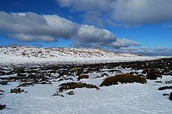 島の雪原