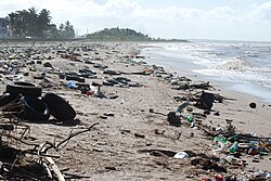ガイアナの海岸におけるポイ捨て問題(2010年)