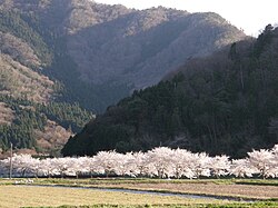現在の丹波篠山市当野付近の武庫川流域