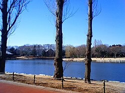 洞峰沼の風景