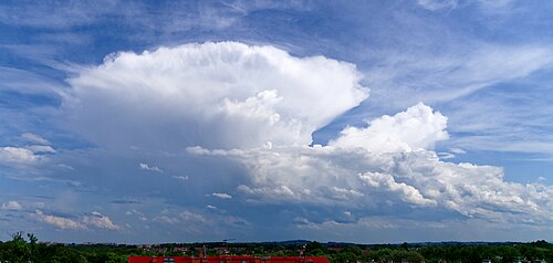 平原のかなとこ雲
