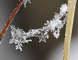 雪片の科学と形成プロセス