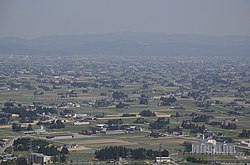 防風林の様子