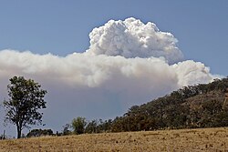 山火事による煙
