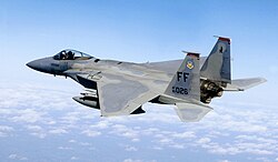 F-15 イーグル の2枚垂直尾翼