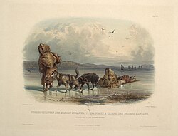 1840年代のマンダン族の犬ぞり