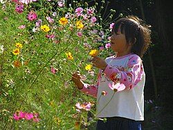 秋(季節)の概要と文化