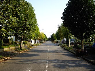 東 (つくば市)