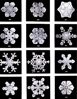 ベントレーが撮影した雪の結晶