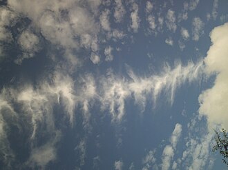 肋骨雲(ヴェルテブラトゥス)の概要と特徴