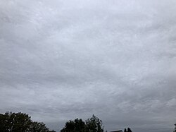 一様だが細かい模様がある高層雲