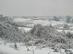 耒陽市における大雪の様子