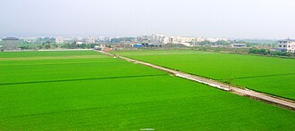嘉南平原:台湾最大の農業地帯