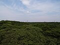 六道山公園の展望台から見た狭山丘陵