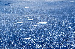 流氷の科学と地域的特性