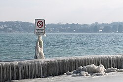 ジュネーブ (スイス)の レマン湖 畔の氷
