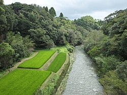 城西橋より下流方