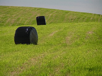 北海道の牧草地とロールベールラップサイロ