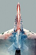 水槽実験におけるF-18模型表面の染料による可視化